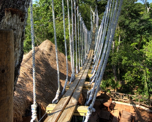 View from the bridge 